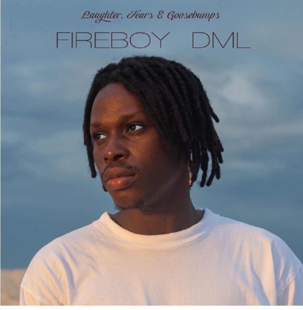 Fireboy DML – Need You