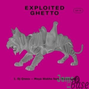 DJ Qness – Moyà Wakho ft. Museeq IQ Mp3