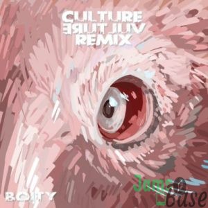 25K – Culture Vulture (Remix) ft. Boity Mp3 Download